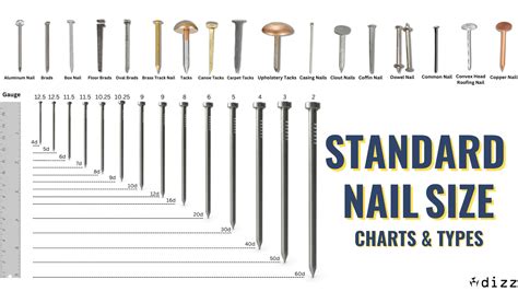 nail size chart pdf